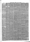 Hull Daily News Saturday 30 January 1875 Page 3