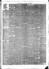 Hull Daily News Saturday 22 April 1876 Page 3