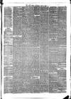 Hull Daily News Saturday 17 June 1876 Page 3