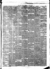 Hull Daily News Saturday 17 June 1876 Page 5