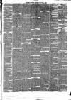 Hull Daily News Saturday 24 June 1876 Page 5