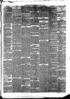 Hull Daily News Saturday 15 July 1876 Page 5
