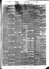 Hull Daily News Saturday 12 August 1876 Page 5