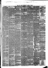 Hull Daily News Saturday 12 August 1876 Page 7