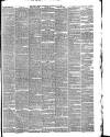Hull Daily News Saturday 23 February 1878 Page 5