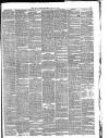 Hull Daily News Saturday 25 May 1878 Page 5
