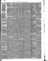 Hull Daily News Saturday 10 August 1878 Page 3