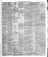 Hull Daily News Saturday 10 June 1882 Page 5