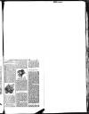 Hull Daily News Saturday 21 October 1893 Page 27