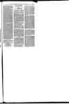 Hull Daily News Saturday 07 July 1894 Page 21