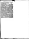 Hull Daily News Saturday 04 August 1894 Page 17