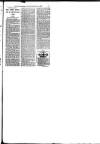 Hull Daily News Saturday 01 September 1894 Page 11
