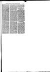 Hull Daily News Saturday 01 September 1894 Page 21
