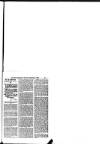 Hull Daily News Saturday 01 September 1894 Page 29