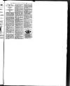 Hull Daily News Saturday 08 September 1894 Page 11