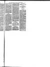 Hull Daily News Saturday 15 September 1894 Page 13
