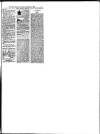 Hull Daily News Saturday 15 September 1894 Page 19