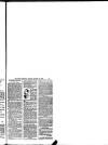 Hull Daily News Saturday 15 September 1894 Page 29