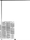 Hull Daily News Saturday 15 September 1894 Page 31