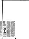 Hull Daily News Saturday 15 September 1894 Page 35