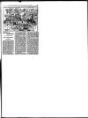 Hull Daily News Saturday 29 September 1894 Page 21