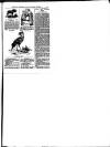 Hull Daily News Saturday 10 November 1894 Page 17