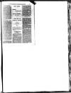 Hull Daily News Saturday 05 January 1895 Page 11