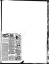 Hull Daily News Saturday 05 January 1895 Page 37