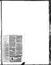 Hull Daily News Saturday 27 April 1895 Page 35