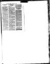 Hull Daily News Saturday 04 May 1895 Page 19