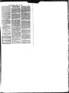 Hull Daily News Saturday 01 June 1895 Page 21