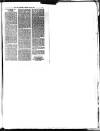 Hull Daily News Saturday 15 June 1895 Page 19