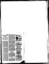 Hull Daily News Saturday 15 June 1895 Page 29