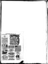 Hull Daily News Saturday 22 June 1895 Page 39