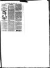 Hull Daily News Saturday 09 November 1895 Page 21