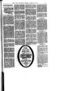 Hull Daily News Saturday 18 February 1899 Page 31