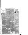 Hull Daily News Saturday 25 March 1899 Page 19