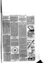 Hull Daily News Saturday 27 May 1899 Page 27