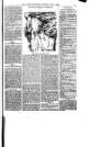 Hull Daily News Saturday 01 July 1899 Page 15