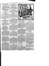 Hull Daily News Saturday 01 July 1899 Page 31