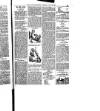 Hull Daily News Saturday 29 July 1899 Page 29