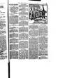 Hull Daily News Saturday 29 July 1899 Page 31