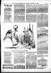 Hull Daily News Saturday 18 November 1899 Page 29