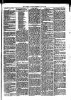 Llanelly and County Guardian and South Wales Advertiser Thursday 29 July 1869 Page 3