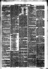 Llanelly and County Guardian and South Wales Advertiser Thursday 19 August 1869 Page 3