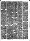 Llanelly and County Guardian and South Wales Advertiser Thursday 25 November 1869 Page 3