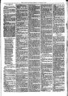 Llanelly and County Guardian and South Wales Advertiser Thursday 23 December 1869 Page 3