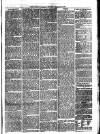 Llanelly and County Guardian and South Wales Advertiser Thursday 24 February 1870 Page 7