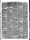 Llanelly and County Guardian and South Wales Advertiser Thursday 26 May 1870 Page 3