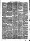 Llanelly and County Guardian and South Wales Advertiser Thursday 16 June 1870 Page 5